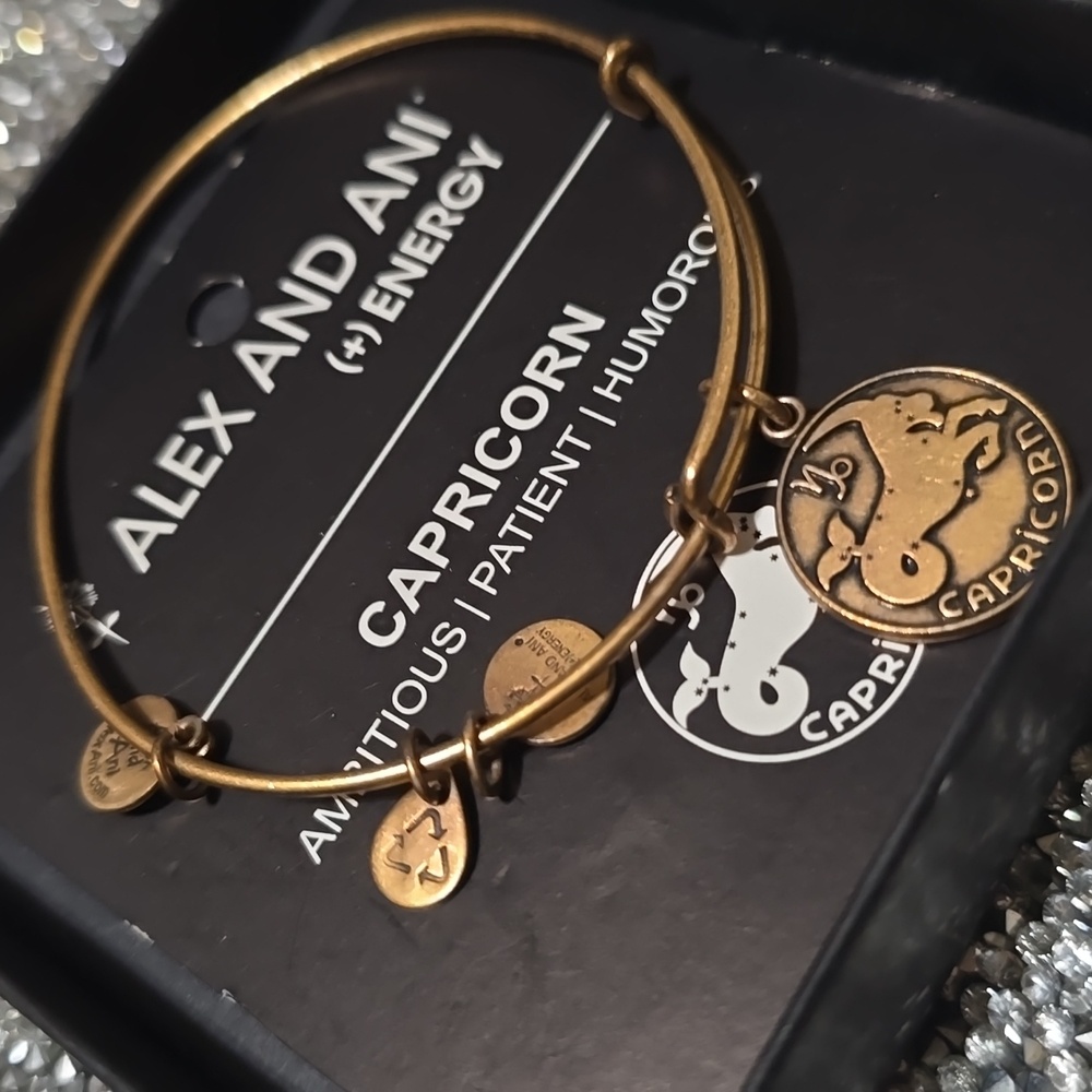 ❇️Alex & Ani (+) Energy Retired Capricorn Expandable bracelet NIB